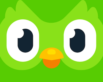 Une année d'apprentissage d'une langue avec Duolingo